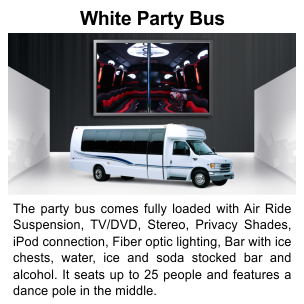 Amman Party Bus